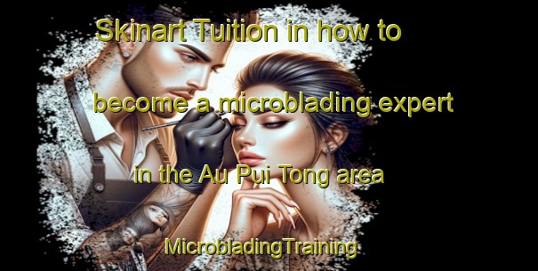 Skinart Tuition in how to become a microblading expert in the Au Pui Tong area | MicrobladingTraining | MicrobladingClasses | SkinartTraining-Hong Kong