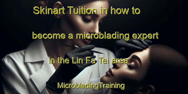 Skinart Tuition in how to become a microblading expert in the Lin Fa Tei area | MicrobladingTraining | MicrobladingClasses | SkinartTraining-Hong Kong