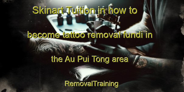 Skinart Tuition in how to become tattoo removal fundi in the Au Pui Tong area | RemovalTraining | RemovalClasses | SkinartTraining-Hong Kong