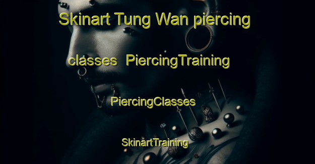 Skinart Tung Wan piercing classes | PiercingTraining | PiercingClasses | SkinartTraining-Hong Kong