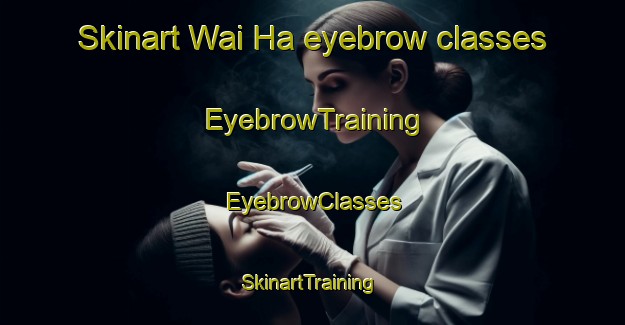 Skinart Wai Ha eyebrow classes | EyebrowTraining | EyebrowClasses | SkinartTraining-Hong Kong
