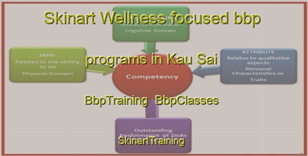 Skinart Wellness-focused bbp programs in Kau Sai | BbpTraining | BbpClasses | SkinartTraining-Hong Kong