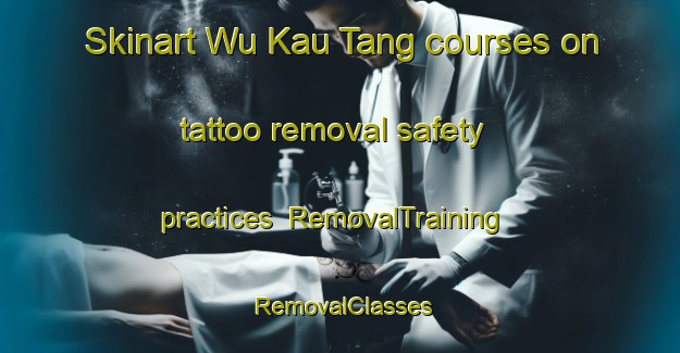 Skinart Wu Kau Tang courses on tattoo removal safety practices | RemovalTraining | RemovalClasses | SkinartTraining-Hong Kong